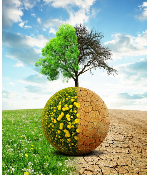 Climate-Smart Agriculture & Sustainable Development